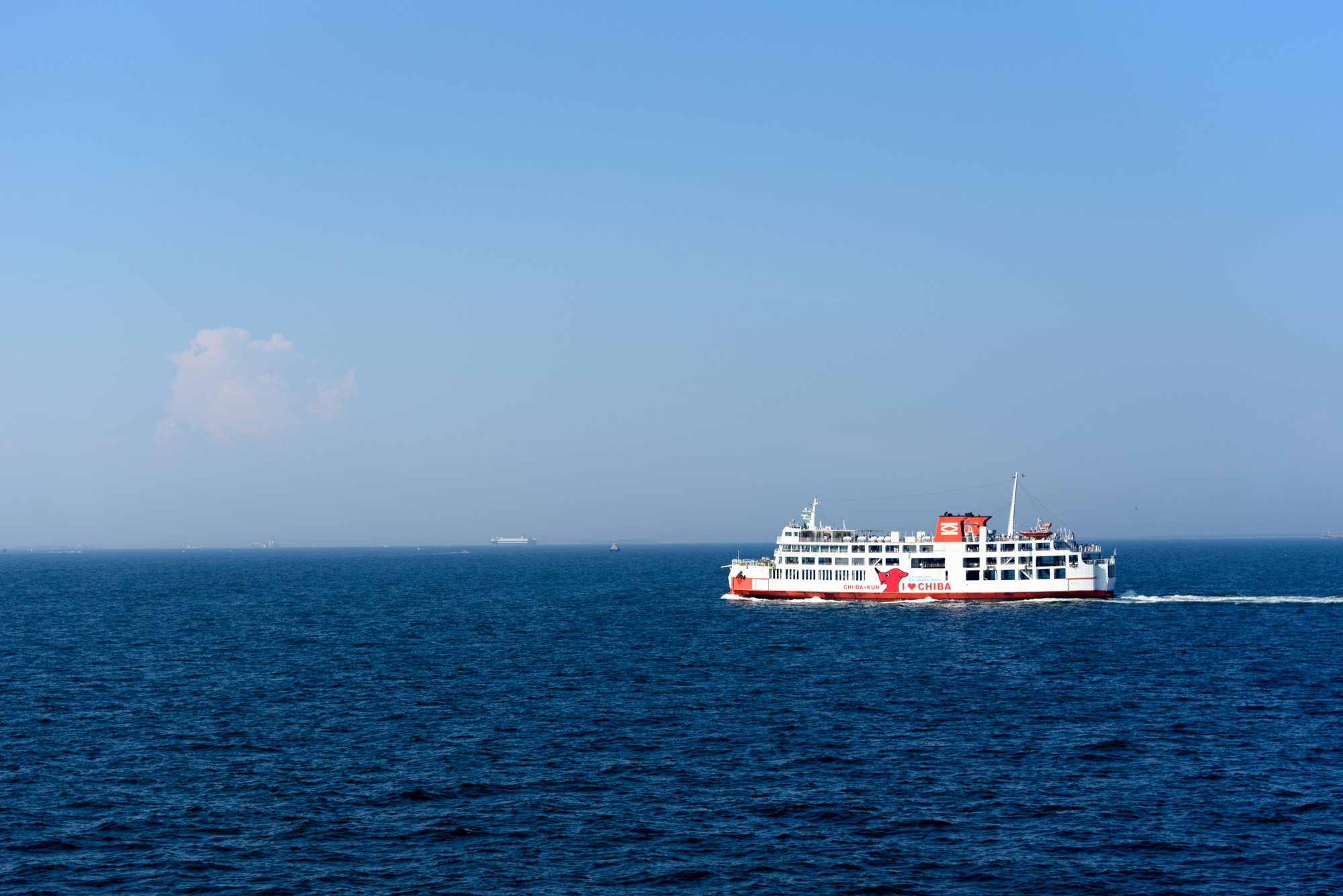 東京湾フェリーで久里浜から金谷へ いわしバーグも食べた