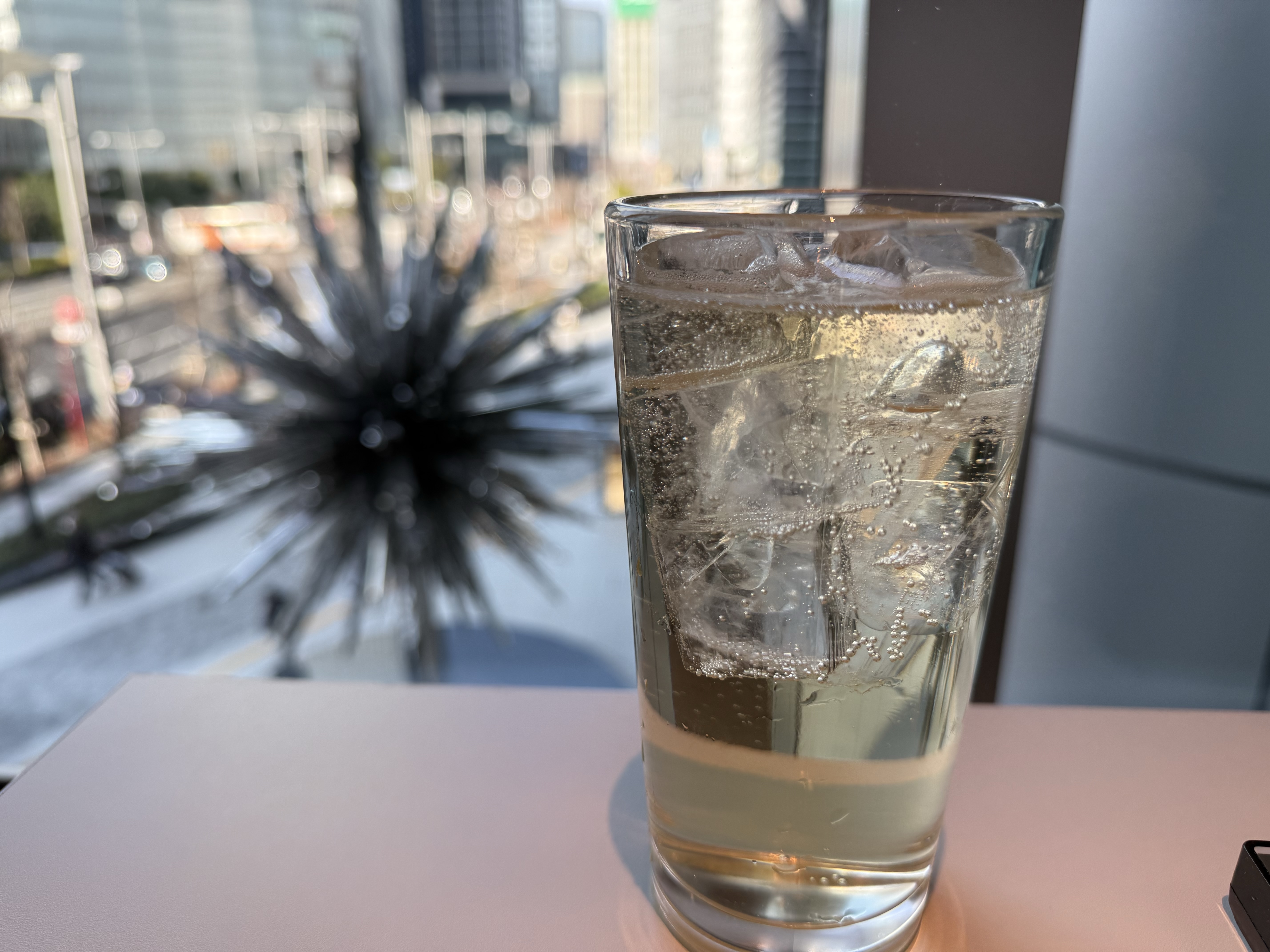 ヤエパブ（ヤエスパブリック）は酒飲みフードコート