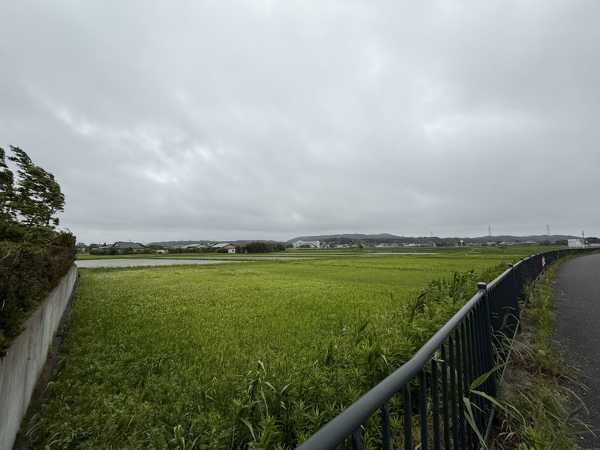 君津駅から千葉ロッテマリーンズ ファーム本拠地移転先候補に歩いて行ってみた